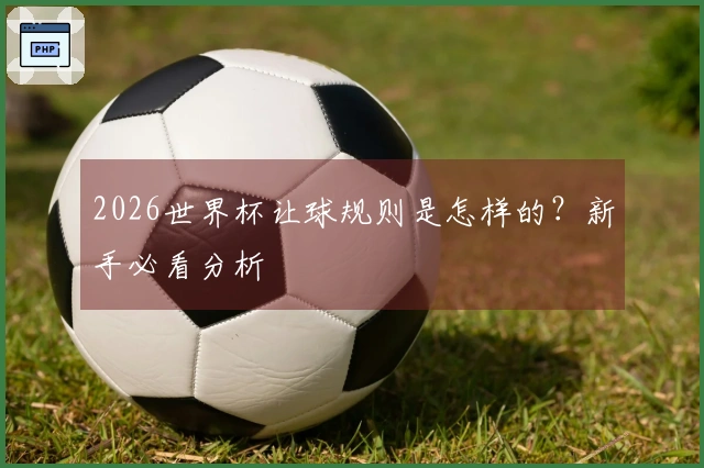 2026世界杯让球规则是怎样的？新手必看分析