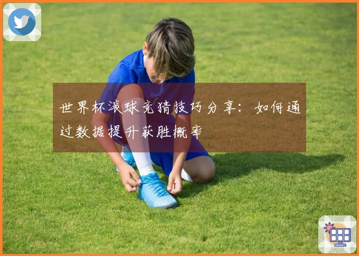 世界杯滚球竞猜技巧分享：如何通过数据提升获胜概率