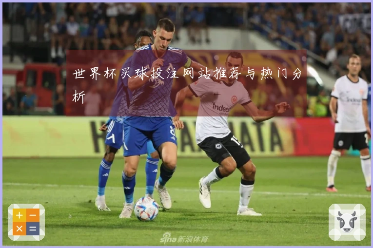 世界杯买球投注网站推荐与热门分析
