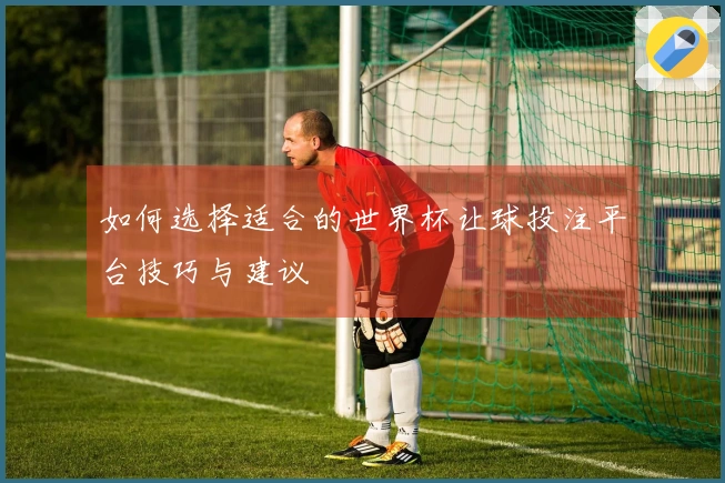 如何选择适合的世界杯让球投注平台技巧与建议
