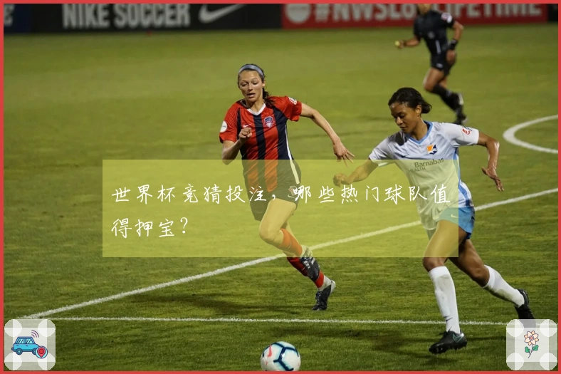 世界杯竞猜投注，哪些热门球队值得押宝？