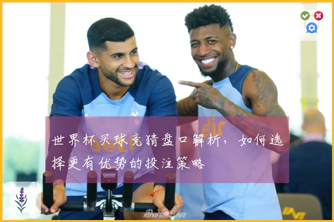 世界杯买球竞猜盘口解析，如何选择更有优势的投注策略